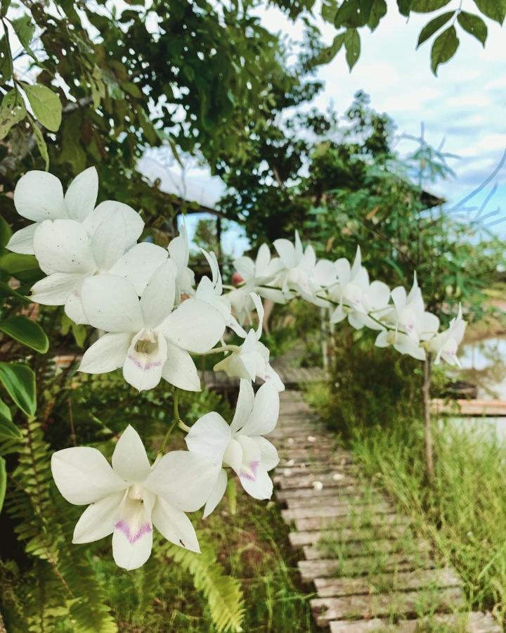 Ban Wang Muang Rang Robin Farmstay For 4 With Pool المظهر الخارجي الصورة